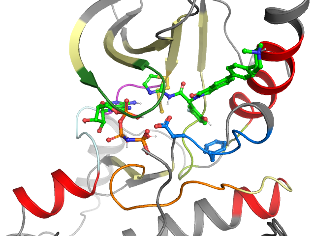 The orthosteric binding pocket