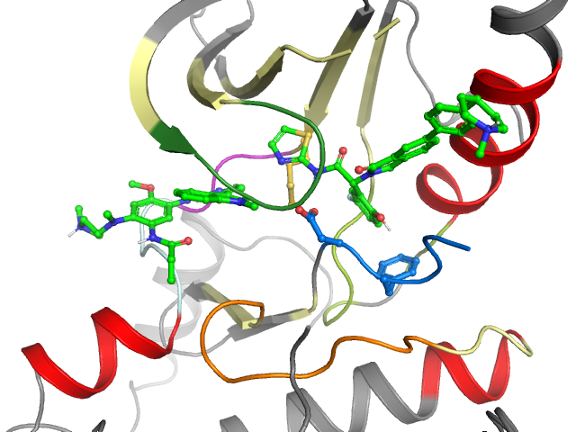 The orthosteric binding pocket