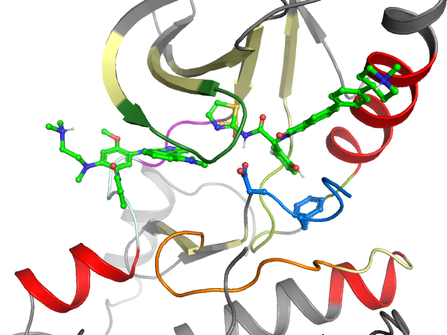 The orthosteric binding pocket