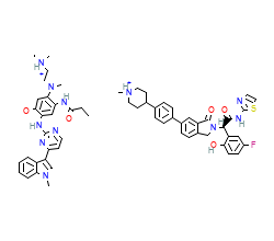 2D structure of the orthosteric ligand