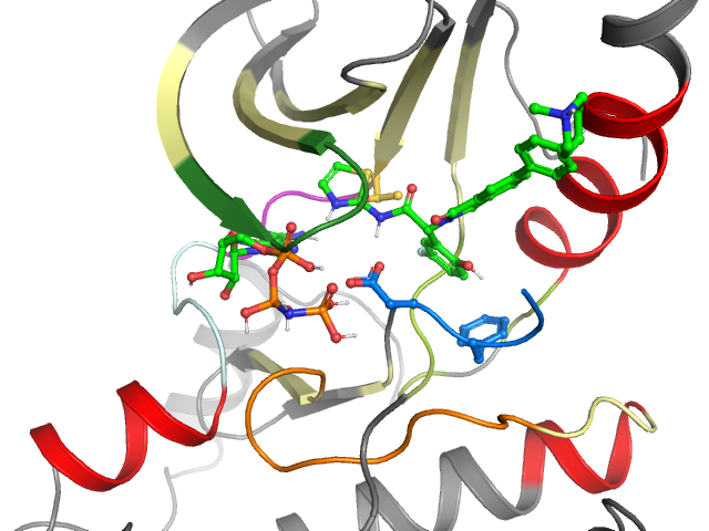 The orthosteric binding pocket