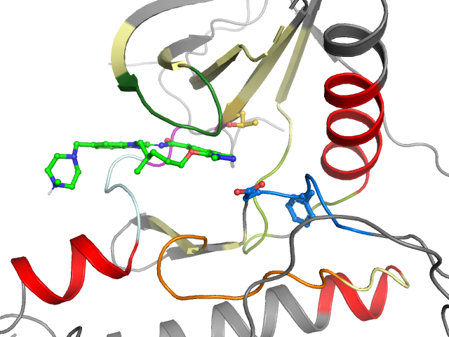 The orthosteric binding pocket