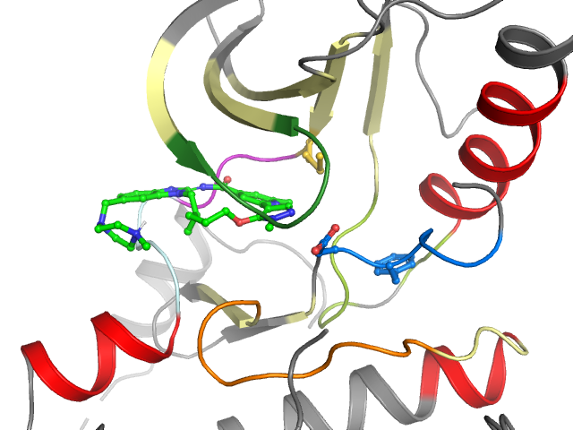 The orthosteric binding pocket