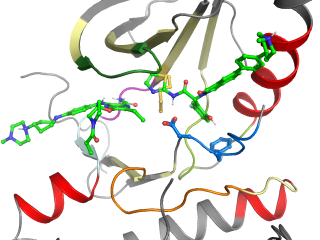 The orthosteric binding pocket