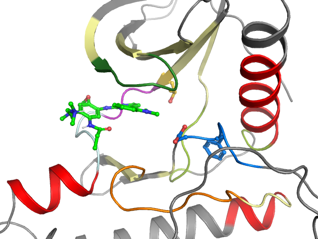 The orthosteric binding pocket