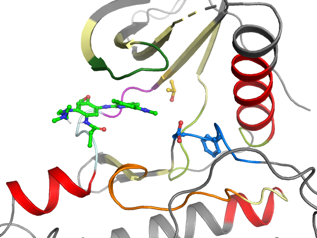 The orthosteric binding pocket