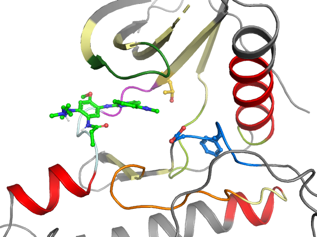 The orthosteric binding pocket