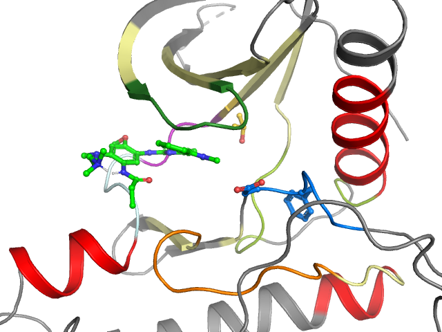 The orthosteric binding pocket