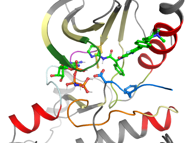 The orthosteric binding pocket
