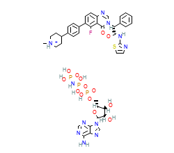 2D structure of the orthosteric ligand