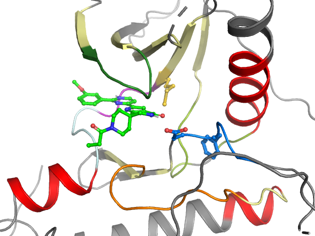 The orthosteric binding pocket