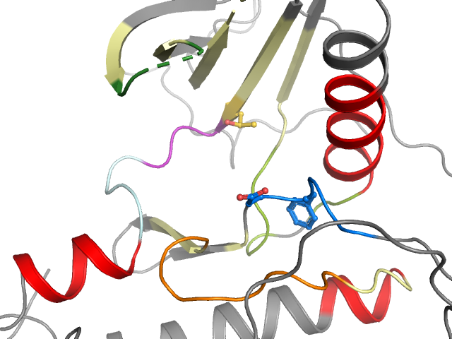 The orthosteric binding pocket