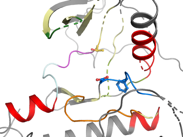The orthosteric binding pocket