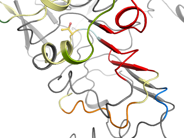 The orthosteric binding pocket
