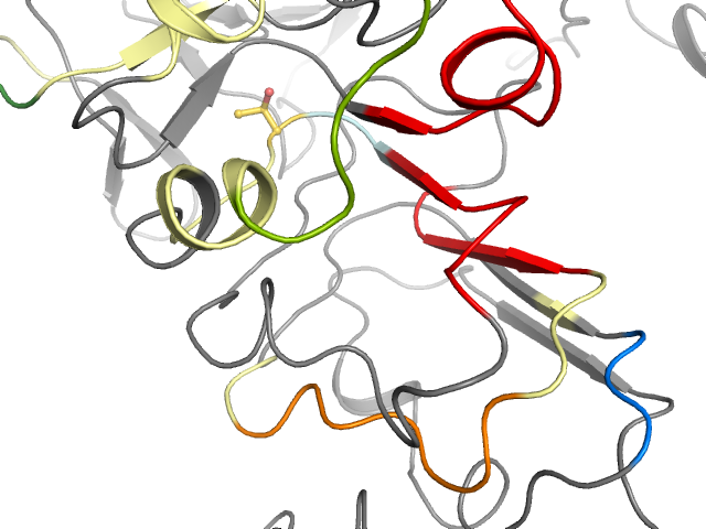 The orthosteric binding pocket