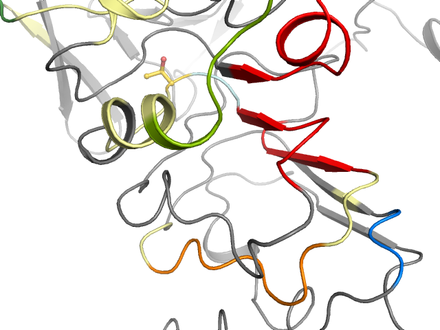 The orthosteric binding pocket