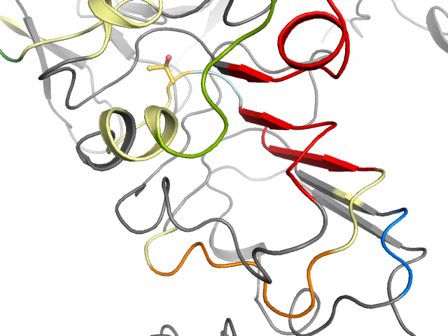 The orthosteric binding pocket