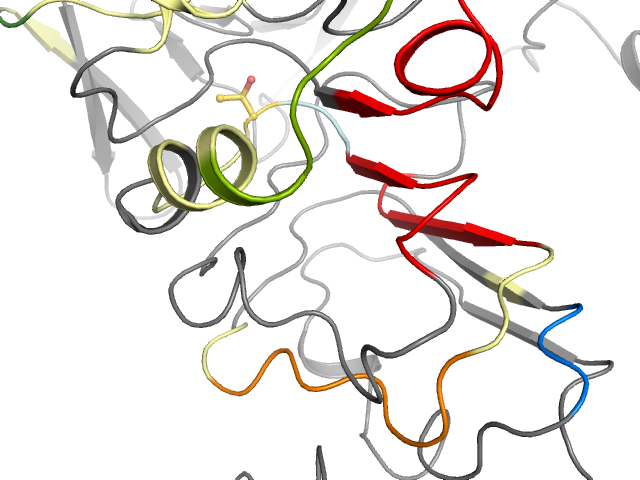The orthosteric binding pocket
