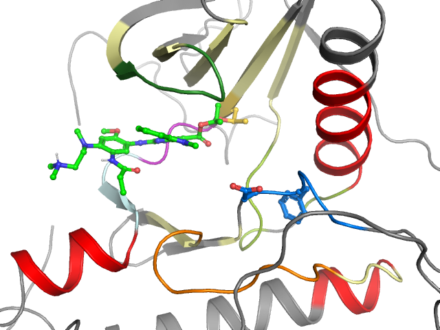 The orthosteric binding pocket