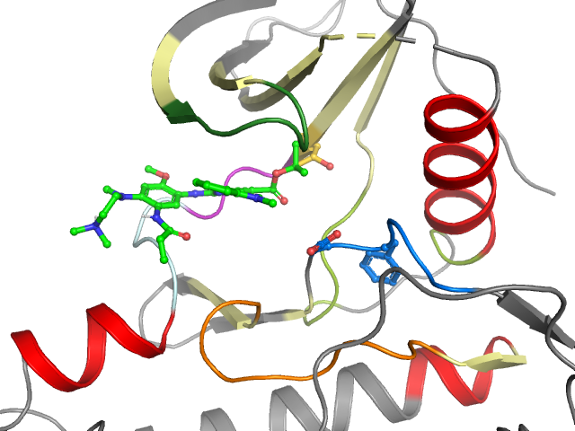 The orthosteric binding pocket