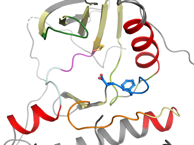 The orthosteric binding pocket