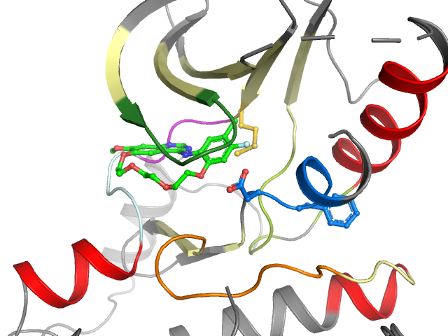 The orthosteric binding pocket