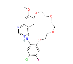 2D structure of the orthosteric ligand