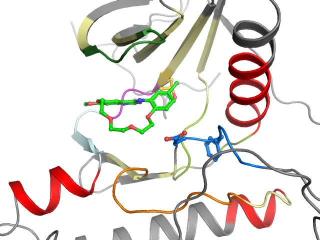 The orthosteric binding pocket