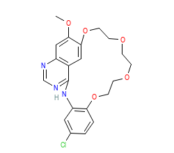 2D structure of the orthosteric ligand