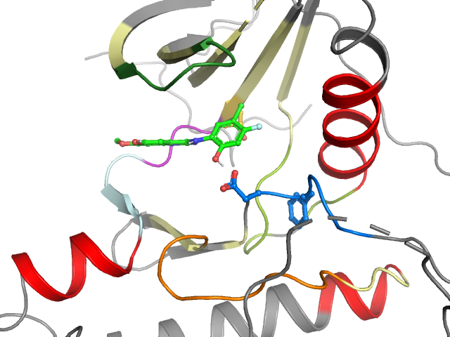 The orthosteric binding pocket