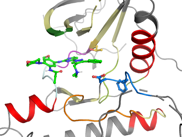 The orthosteric binding pocket