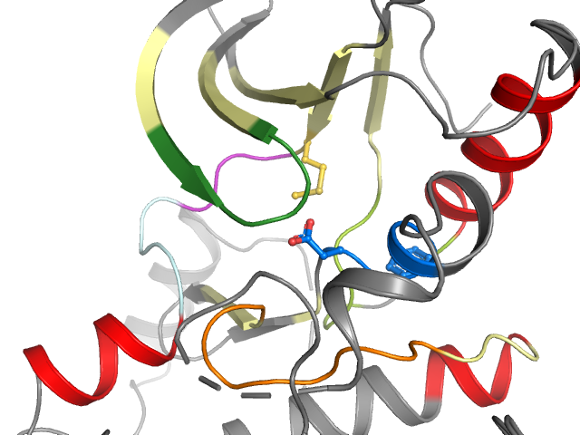 The orthosteric binding pocket