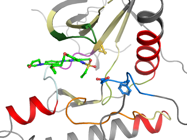 The orthosteric binding pocket