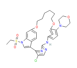 2D structure of the orthosteric ligand