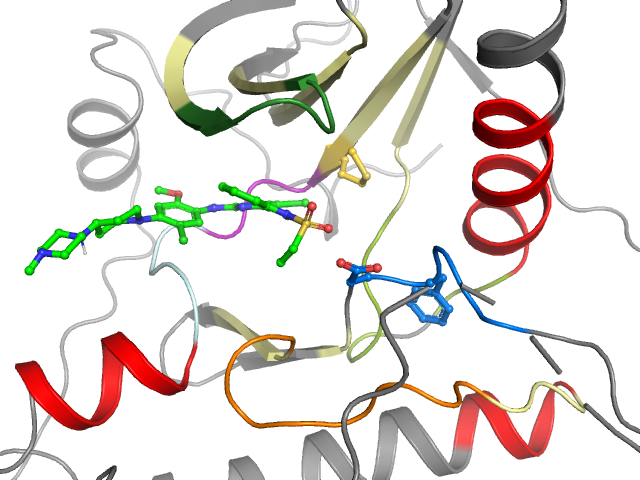 The orthosteric binding pocket