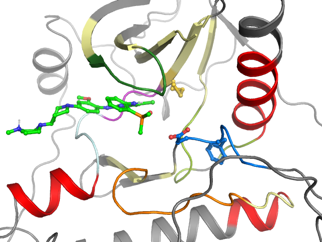 The orthosteric binding pocket