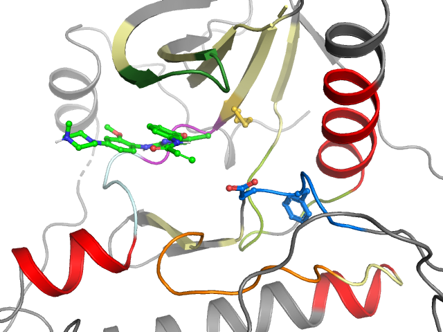 The orthosteric binding pocket