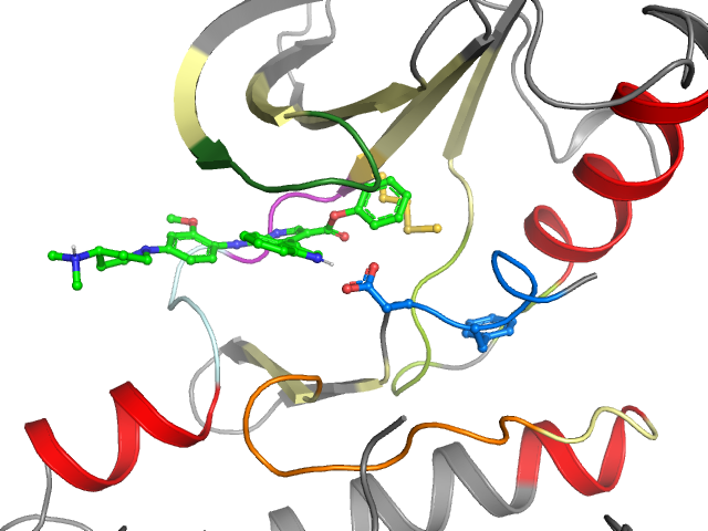 The orthosteric binding pocket