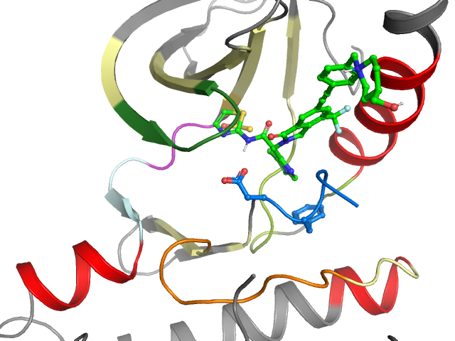 The orthosteric binding pocket