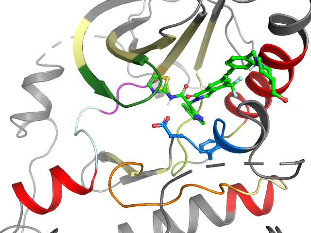 The orthosteric binding pocket
