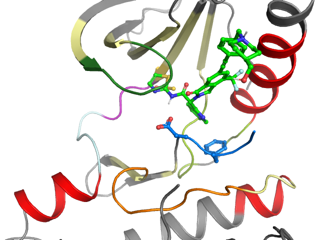 The orthosteric binding pocket