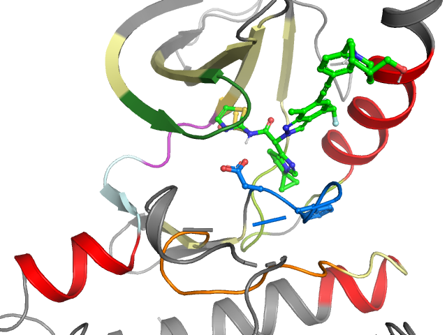 The orthosteric binding pocket