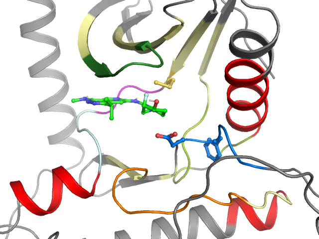The orthosteric binding pocket