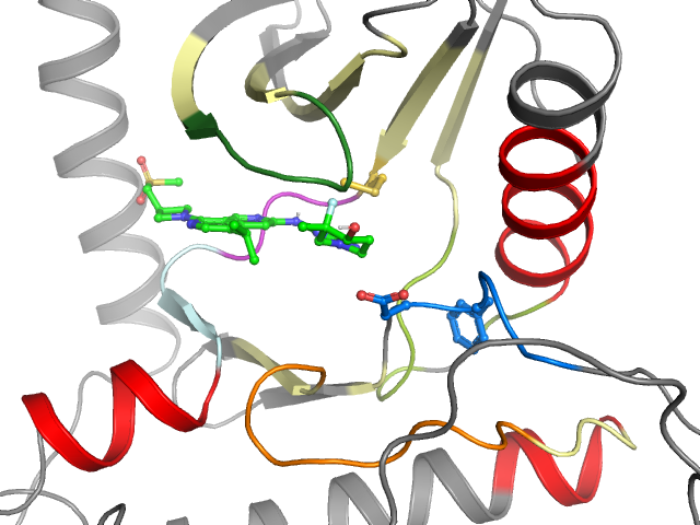 The orthosteric binding pocket