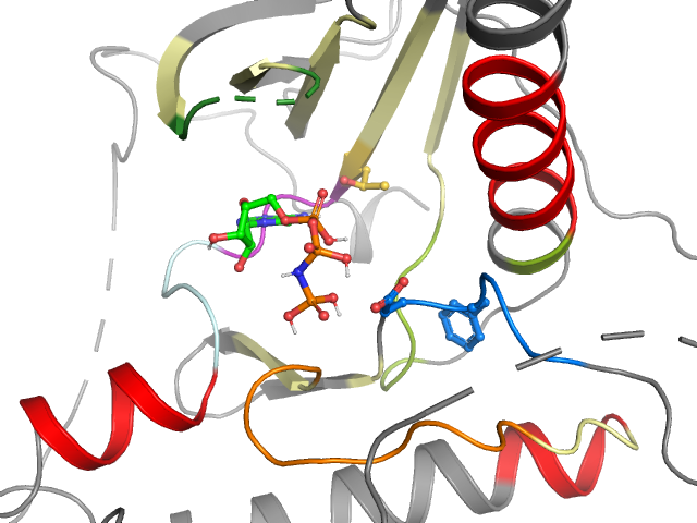 The orthosteric binding pocket