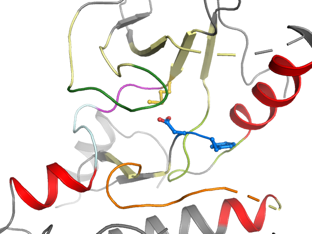 The orthosteric binding pocket