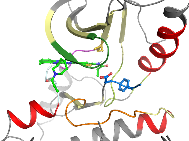 The orthosteric binding pocket