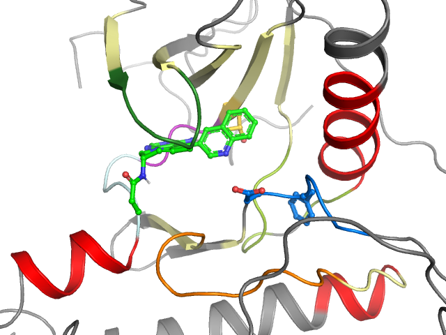 The orthosteric binding pocket