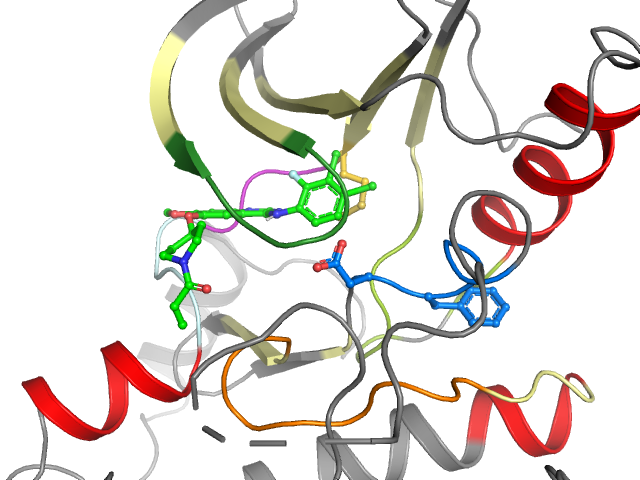 The orthosteric binding pocket