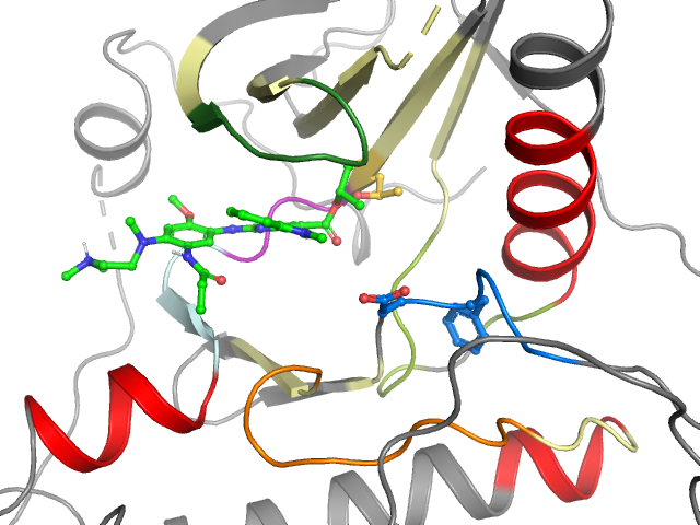 The orthosteric binding pocket